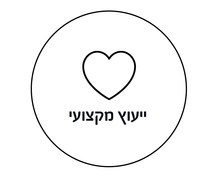 ייעוץ מקצועי